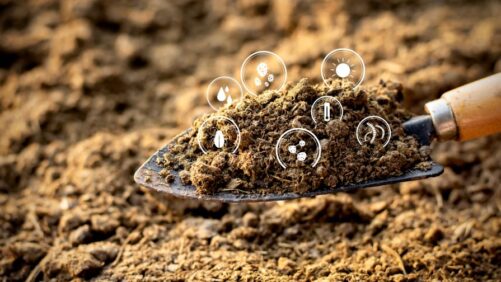 How Floral Shops Can Minimize Waste with Composting Strategies