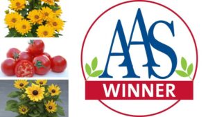 3 New All-America Selections Winners Announced for 2026