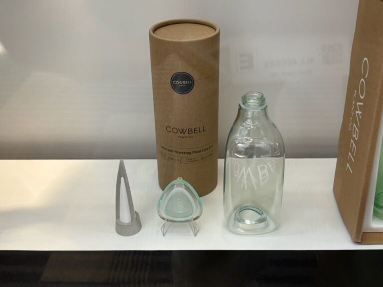 Cowbell (Cowbell Plant)