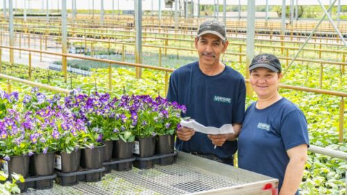 Announcing Greenhouse Grower’s 2025 Medal of Excellence Award Winners
