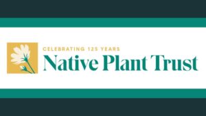 Native Plant Trust Celebrates 125 Years of Conservation and Preservation