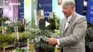 Bright New Plants to Transform Your Garden