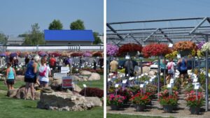 Getting Ready for Plantpeddler’s 45th Anniversary and Variety Day Events