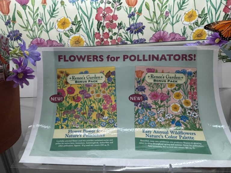 Pollinator Garden Flower Mix and Wildflower Garden Flower Mix Bonus Packs (Renee’s Garden)