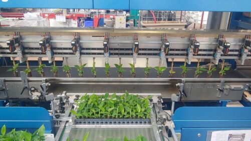 ROI Considerations When Evaluating New Tech