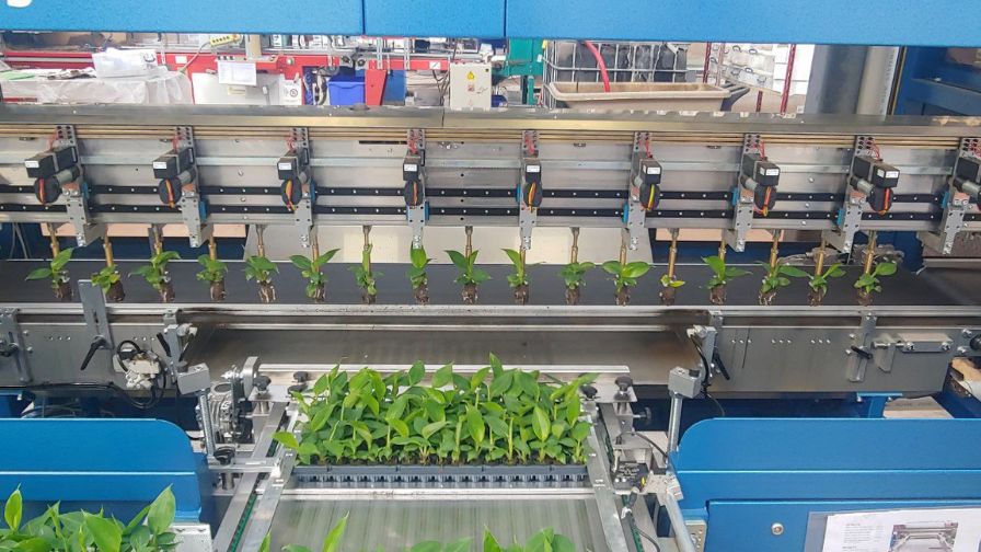 ROI Considerations When Evaluating New Tech