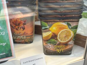 Rex-Tangle Flowerpots (Earth Brand Creations)