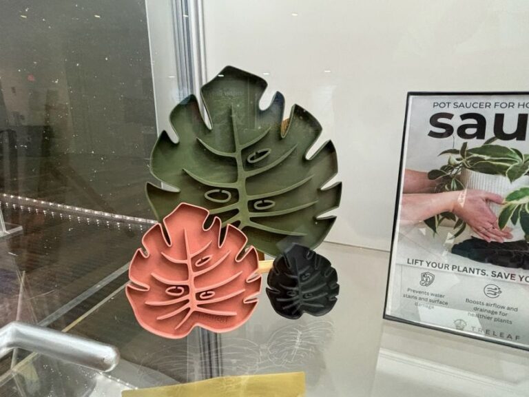 Sausr Leaf-Shaped Saucer (TreLeaf)