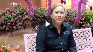 Exciting Pink Blooms from Suntory Flowers