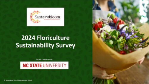 New Survey Reveals Floriculture Industry’s Push Toward Sustainability