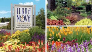 Terra Nova Opens Its Doors for 2025 Farwest Show Attendees