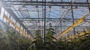 Trusted Training Programs for the Modern Greenhouse Grower