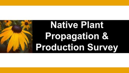 Native Plant Propagation and Production Survey Now Open
