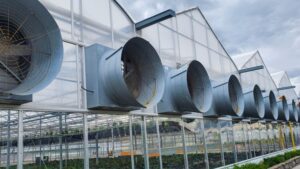 Practical Lessons on Greenhouse Modernization from Michigan State University