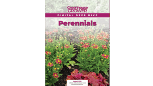 Don’t Miss Greenhouse Grower’s Digital Deep Dive on Perennials