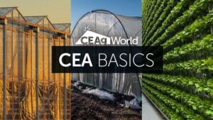 North America’s Most Common and Promising CEA Crops