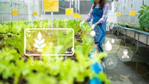 How Garden Centers Can Tackle Labor Shortages with Smart Tech