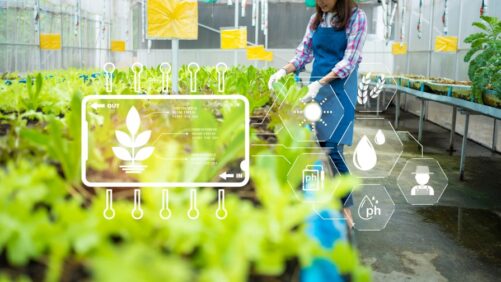 How Garden Centers Can Tackle Labor Shortages with Smart Tech