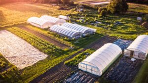Finding the Right Size for Your Next Greenhouse Structure
