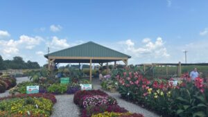 A Closer Look at Green Legacy’s Trial Gardens