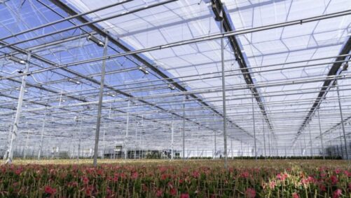 The Science of Shade: How Climate, Crop, and Structure Should Influence Decisions on Shading Systems