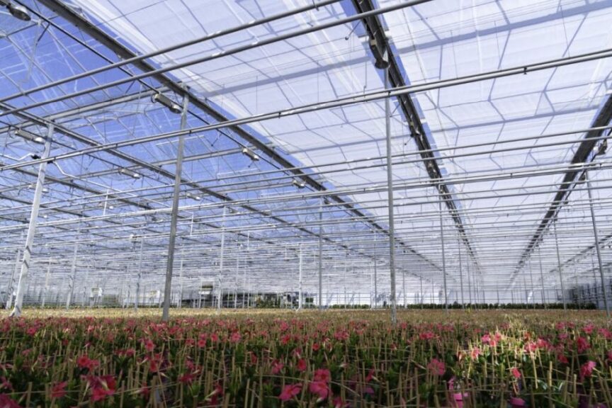 The Science of Shade