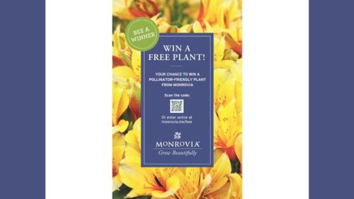 Monrovia Announces Its 2025 ‘Bee a Winner’ Grand Prize Giveaway