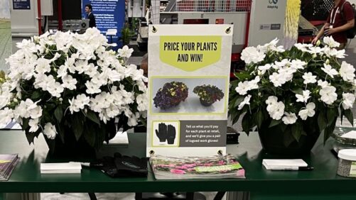 How Combining Advanced Substrate and Controlled Release Fertilizer Technologies Can Increase Your Bottom Line