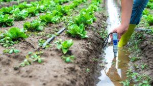 Smart Water Treatment and Reuse Strategies for Modern Greenhouse Growing