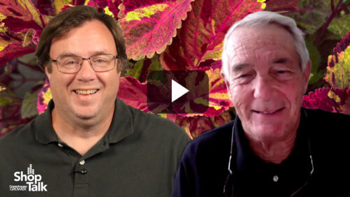 Dr. Allan Armitage on Plants to Fill in the Early-Fall Gaps