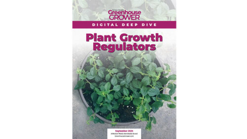 Don’t Miss Greenhouse Grower’s Digital Deep Dive on Plant Growth Regulators