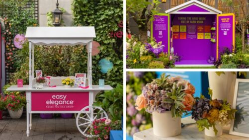 Bailey Consumer Brands Brought to Life at Flora House Event