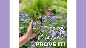 Ball FloraPlant Launches Photo Contest for Ageratum ‘Monarch Magic’