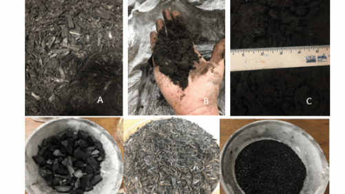 Biochar Effects on Plant Disease