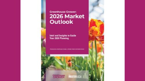 Greenhouse Grower 2026 Market Outlook: Intel and Insights for the New Year