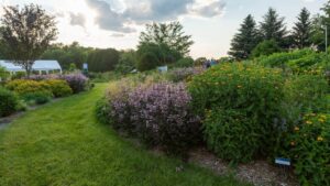 The Important Role of Trial Gardens in the Horticulture Industry