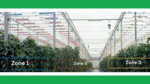 Improving Yield, Quality, and Efficiency with Multi-Zone Greenhouse Lighting