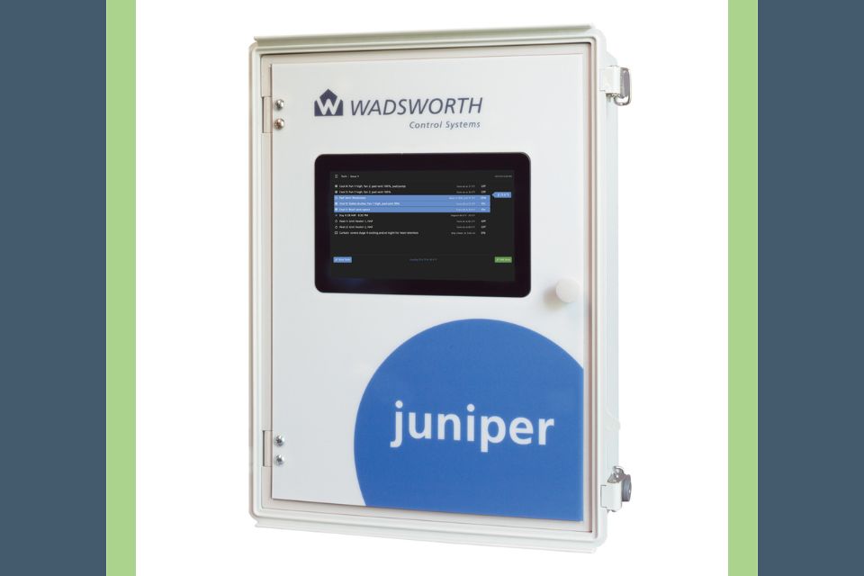 Juniper