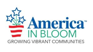 Results Are In: The 2025 America in Bloom National Award Winners