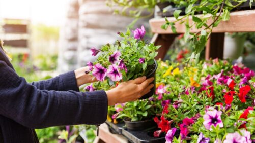 4 Plant Consumer Insights to Watch in 2026