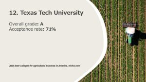 12. Texas Tech University