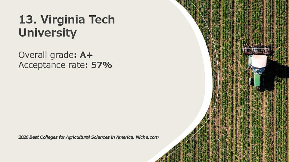 13. Virginia Tech University
