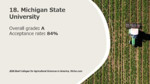 18. Michigan State University