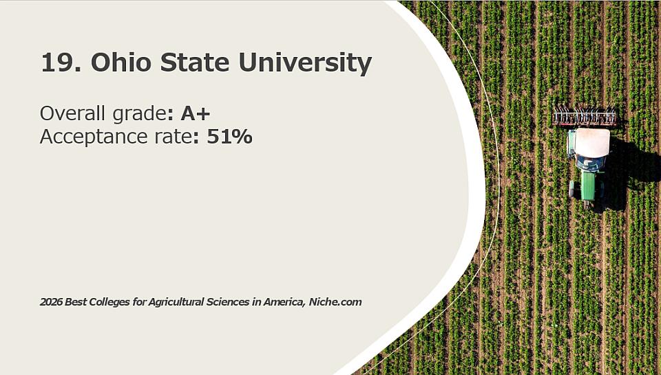 19. Ohio State University