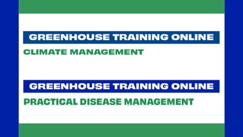 2025 Greenhouse Training Online Ends with Courses on Climate and Disease Management