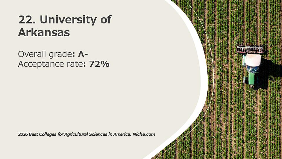 22. University of Arkansas