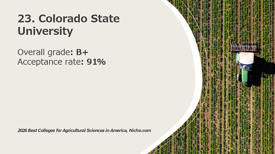 23. Colorado State University
