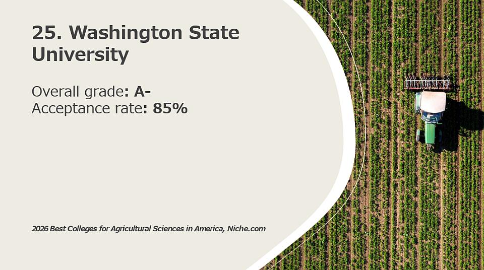 25. Washington State University