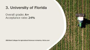 3. University of Florida