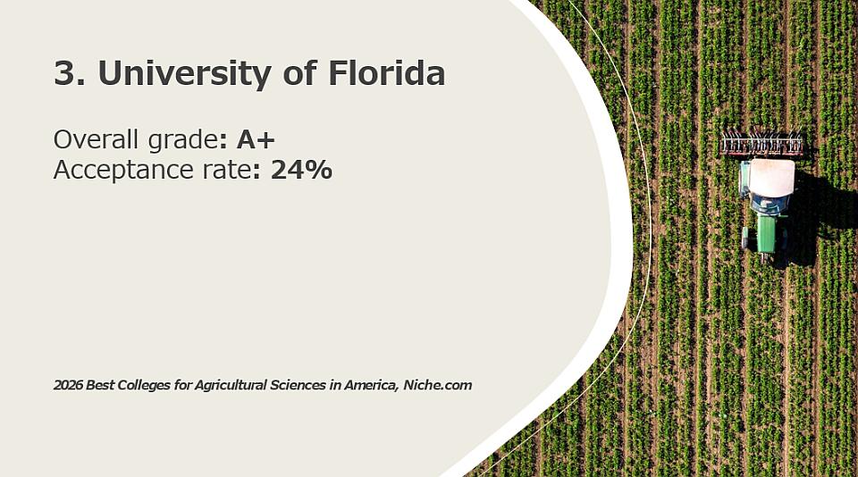 3. University of Florida